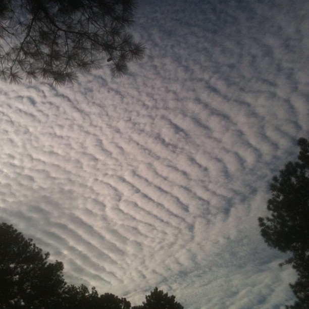 599572_10151044041129277_1687518352_n